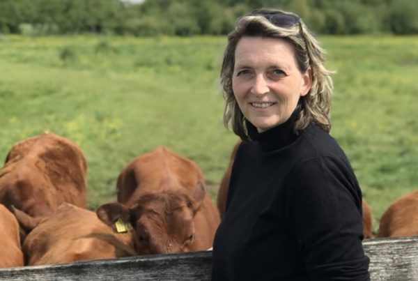 EBK - Marijke Koenen