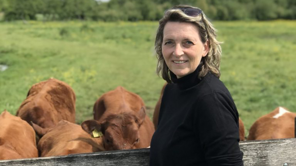 EBK - Marijke Koenen