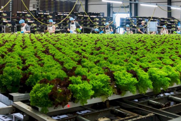 Verbruggen Mechanisatie - EBK Ledenavond
