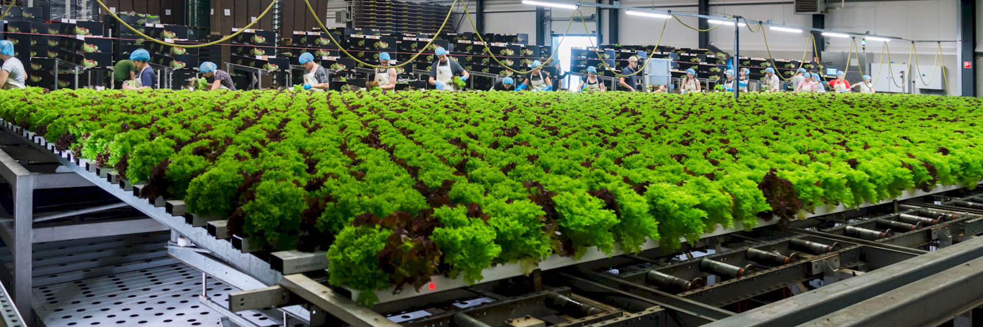 Verbruggen Mechanisatie - EBK Ledenavond