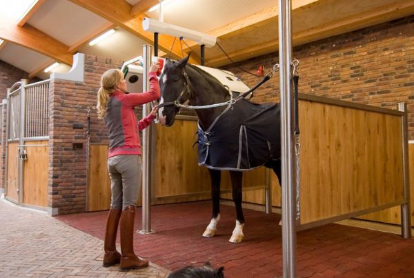 Bedrijfsbezoek Anky van Grunsven