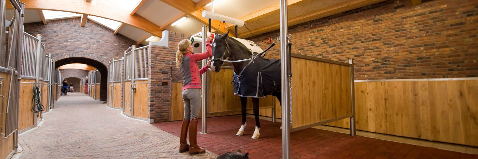 Bedrijfsbezoek Anky van Grunsven